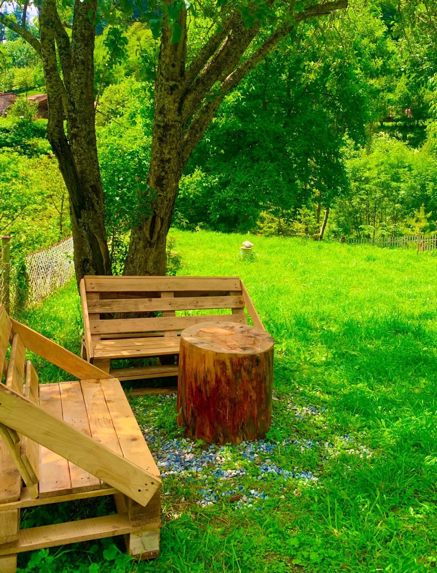 River Side Svaneti Местия Екстериор снимка
